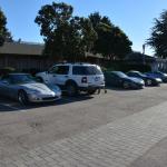 Cambria_0445 (November 01, 2013)